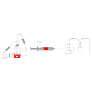 Clinical Comprehensive Course